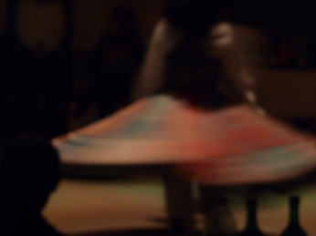 P1040643.JPG 3456x2592 index 399